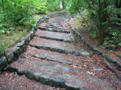 吉田神社の上の公園へ続く階段
